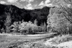 squam-creative-teele-arrow-river-spring-flowering-3