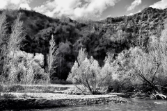 squam-creative-teele-arrow-river-spring-flowering-4