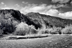 squam-creative-teele-arrow-river-spring-flowering-5