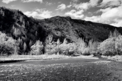 squam-creative-teele-arrow-river-spring-flowering-6