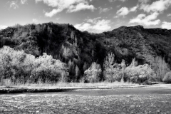 squam-creative-teele-arrow-river-spring-flowering-7