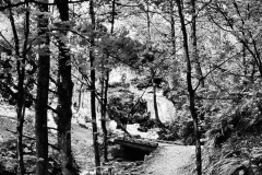 squam-creative-teele-bush-creek-spring-black-white-2