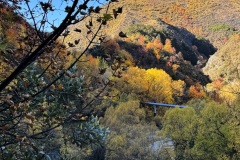 squam-creative-teele-arrow-gorge-pipeline-autumn-1