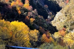squam-creative-teele-arrow-gorge-pipeline-autumn-2