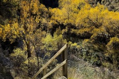 squam-creative-teele-arrow-gorge-stairs-autumn-foliage