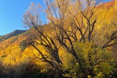 squam-creative-teele-arrow-river-autumn-1