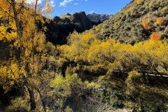 squam-creative-teele-arrow-river-autumn-foliage-1