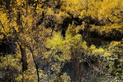 squam-creative-teele-arrow-river-autumn-foliage-2