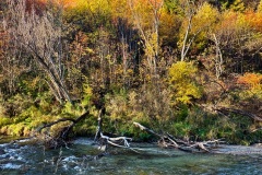 squam-creative-teele-arrow-river-autumn-yellow-green-1