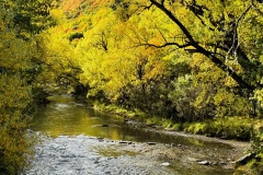 squam-creative-teele-arrow-river-autumn
