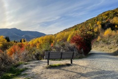 squam-creative-teele-arrowtown-autumn-bench-late-afternoon
