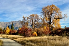 squam-creative-teele-arrowtown-autumn-foliage-april-hues