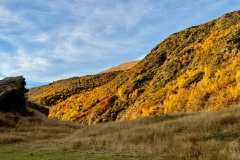 squam-creative-teele-arrowtown-autumn-foliage-last-of-the-sunshine