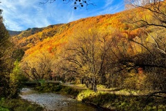 squam-creative-teele-arrowtown-autumn-foliage-river-track
