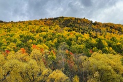 squam-creative-teele-arrowtown-autumn-grey-skies-4