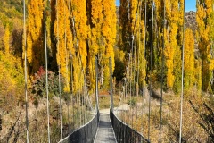 squam-creative-teele-arrowtown-autumn-millennium-trail-bridge