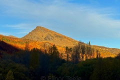squam-creative-teele-arrowtown-autumn-mount-beetham-sunset