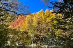 squam-creative-teele-arrowtown-autumn-red-gold-river