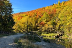 squam-creative-teele-arrowtown-autumn-river-trail-1