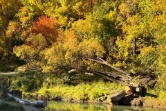 squam-creative-teele-arrowtown-autumn-river-trail-2