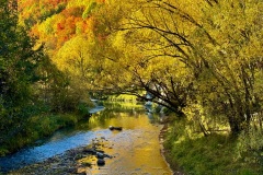 squam-creative-teele-arrowtown-autumn-river-trail-4