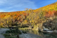 squam-creative-teele-arrowtown-autumn-river-trail-rope-swing-2