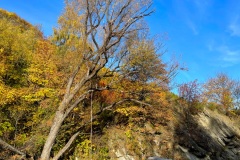 squam-creative-teele-arrowtown-autumn-river-trail-rope-swing-3