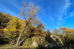 squam-creative-teele-arrowtown-autumn-river-trail-rope-swing-4