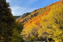 squam-creative-teele-arrowtown-autumn-river-trail-tobins-track-bridge