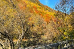 squam-creative-teele-arrowtown-autumn-river-trail-walkway