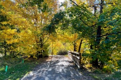 squam-creative-teele-arrowtown-autumn-river-walk-bridge