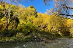 squam-creative-teele-arrowtown-autumn-running-river
