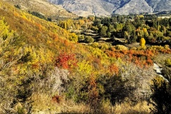 squam-creative-teele-arrowtown-autumn-tobins-drop