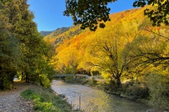 squam-creative-teele-arrowtown-autumn-tobins-track-bridge