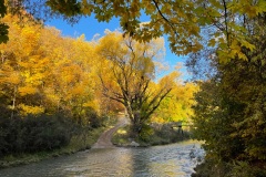 squam-creative-teele-arrowtown-autumn-tobins-track-ford