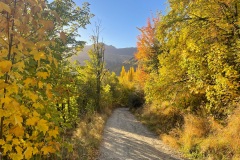 squam-creative-teele-gold-country-tobins-track-4
