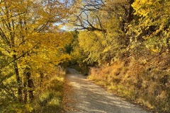 squam-creative-teele-gold-country-tobins-track-5