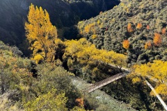 squam-creative-teele-macetown-road-bridge-1