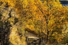 squam-creative-teele-new-chum-gully-entrance