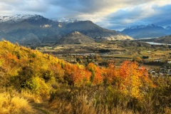 squam-creative-teele-new-chum-gully-remarkables-april-1