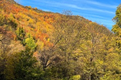 squam-creative-teele-tobins-last-hurrah-2