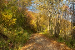 squam-creative-teele-tobins-last-hurrah-4