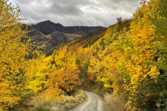 squam-creative-teele-tobins-track-arrowtown-autumn-1