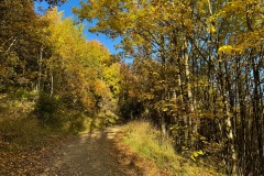 squam-creative-teele-tobins-track-arrowtown-autumn-april