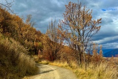 squam-creative-teele-tobins-track-late-autumn-clouds