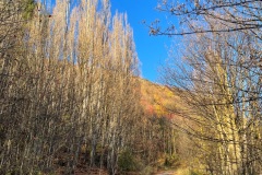 squam-creative-teele-tobins-waning-light-1