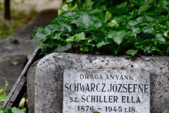 Dohany Street Synagogue