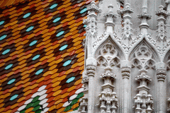 Matthias Church Roof