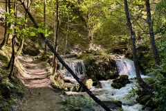 squam-creative-teele-bush-creek-spring-1