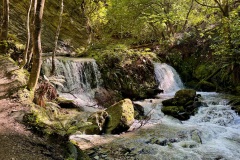 squam-creative-teele-bush-creek-spring-2